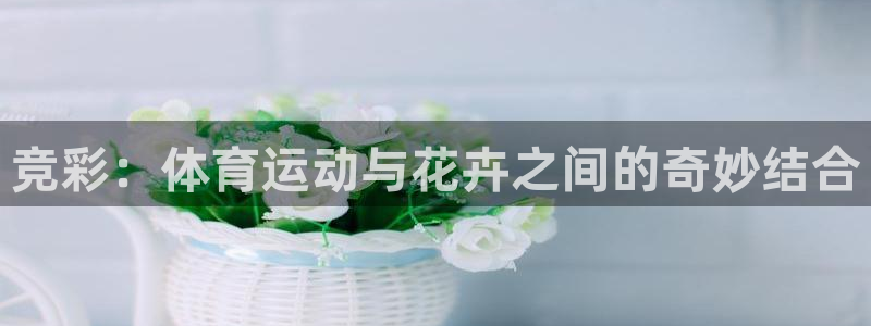 77体育app下载官网