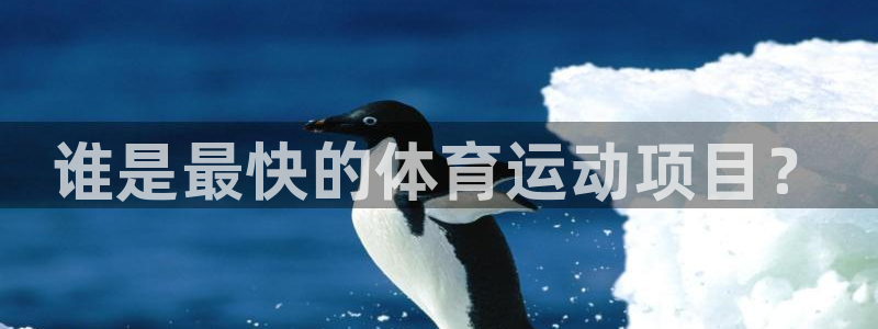 皇冠277体育