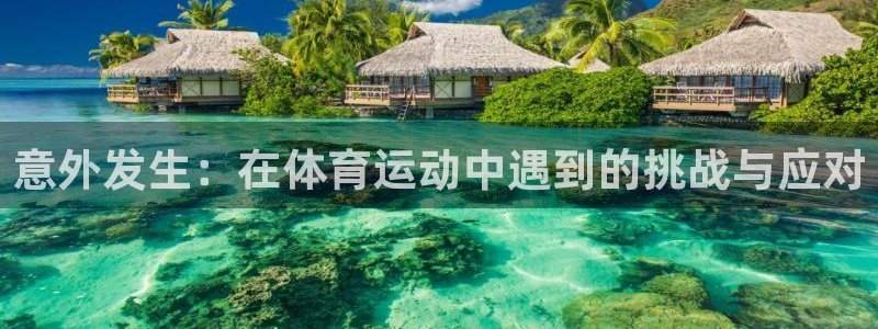 77体育官网