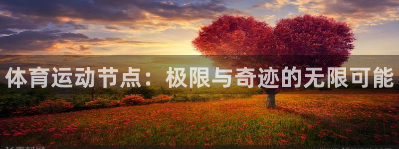 77体育app下载官网