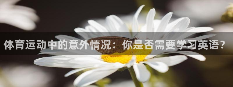 77体育app下载官网