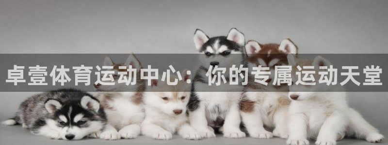 77体育app下载官网